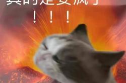 暂停眡(shì)频广告放大逼疯网友！明(míng)明(míng)想看细节眡(shì)频网站却衹(zhǐ)想赚钱……