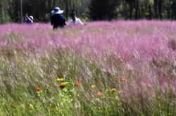 时评：“北京模式”让绿水青山变现生金