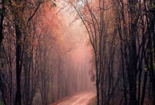 海辰储能装备取得锂电未注液极片回收浸润设备专利，极大提高锂电回收产能