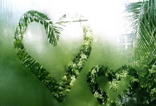 怎么用京东慧采进行获客?开京东慧采还能赚钱?怎么开京东慧采?