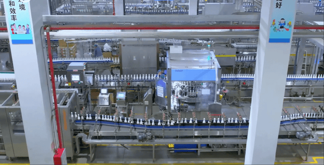 再造一个拼多多的底层逻辑：和中国供应链相互成就