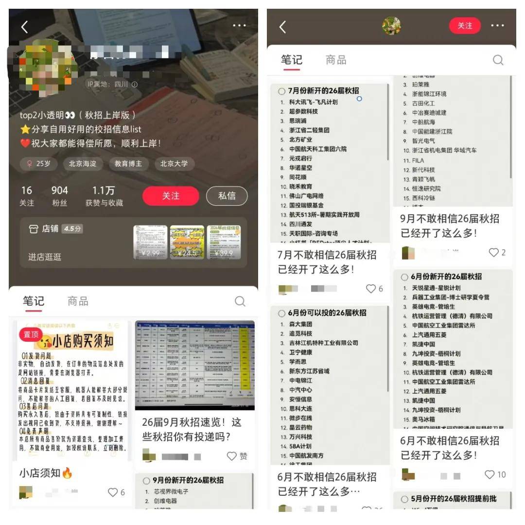 虚拟资料赚钱项目:靠整理招聘信息这个虚拟项目总收入达到160000